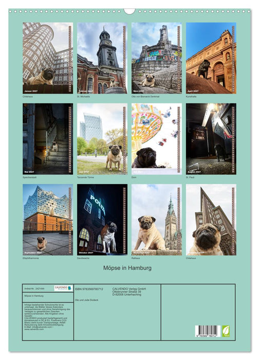 Möpse in Hamburg (CALVENDO Wandkalender 2027)