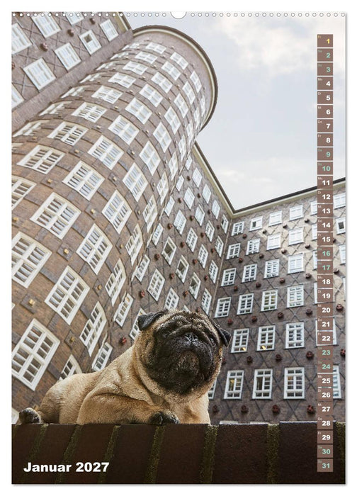 Möpse in Hamburg (CALVENDO Wandkalender 2027)
