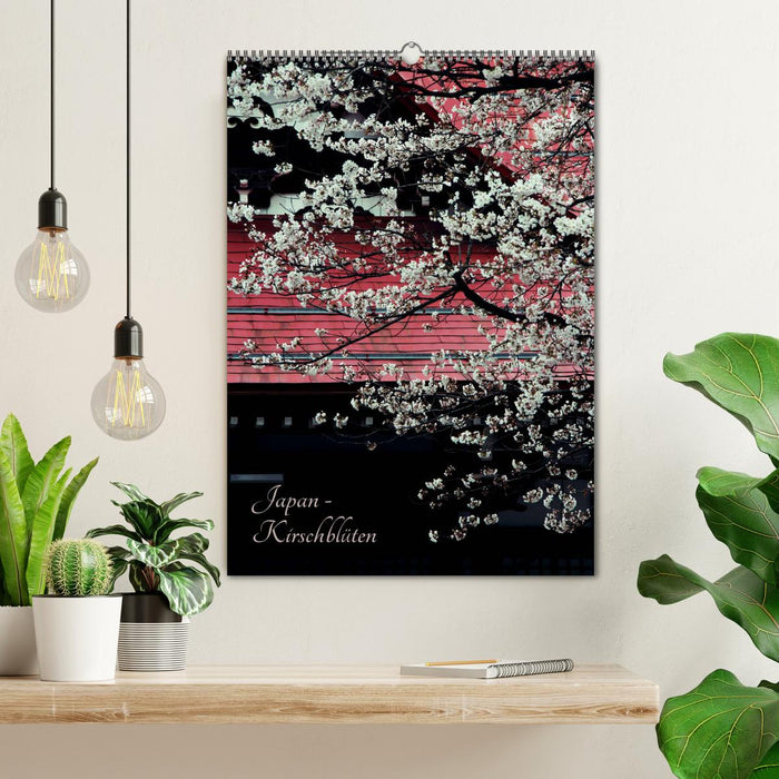 Japan - Kirschblüten (CALVENDO Wandkalender 2027)