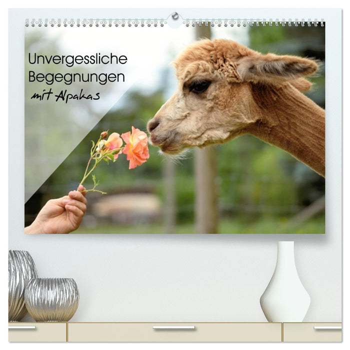 Unvergessliche Begegnungen mit Alpakas (CALVENDO Premium Wandkalender 2027)
