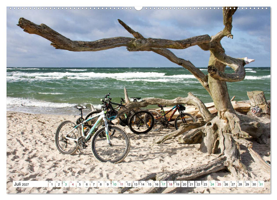 Darßer Weststrand - Fischland Darß Zingst (CALVENDO Premium Wandkalender 2027)