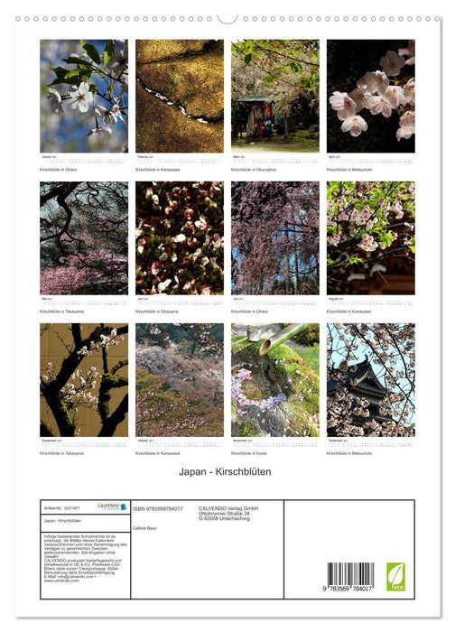 Japan - Kirschblüten (CALVENDO Premium Wandkalender 2027)