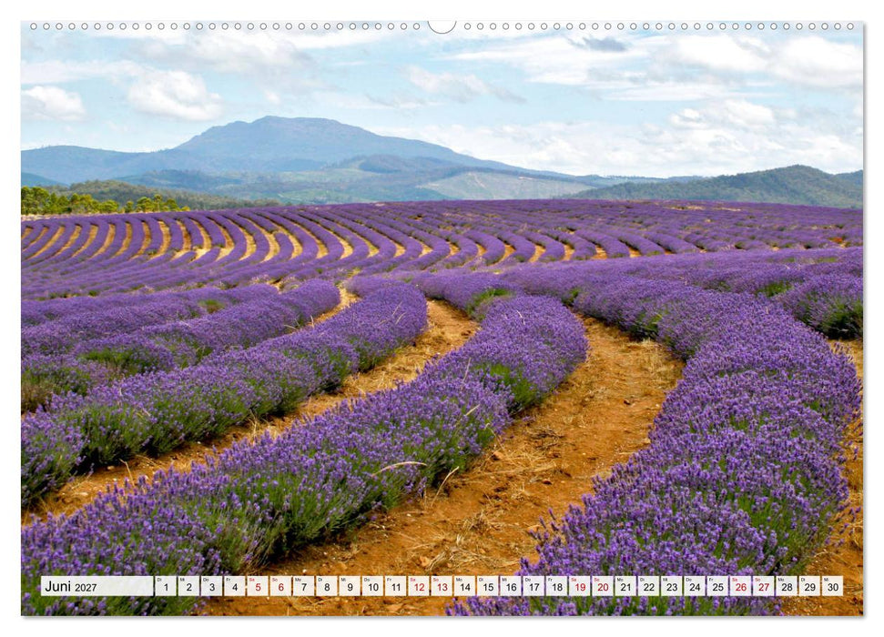 Inselschönheit Tasmanien (CALVENDO Wandkalender 2027)