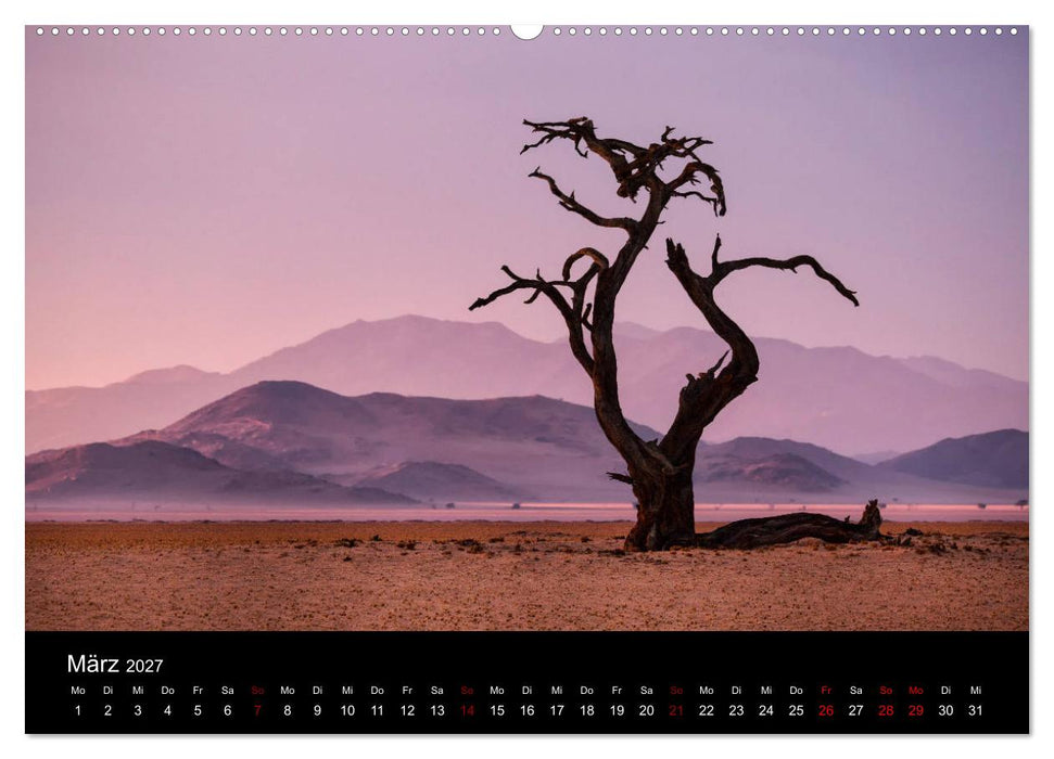 Das Licht Namibias (CALVENDO Wandkalender 2027)