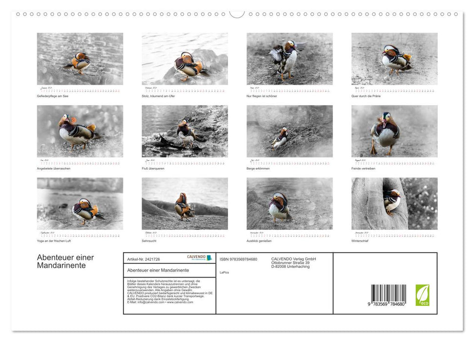 Abenteuer einer Mandarinente (CALVENDO Premium Wandkalender 2027)