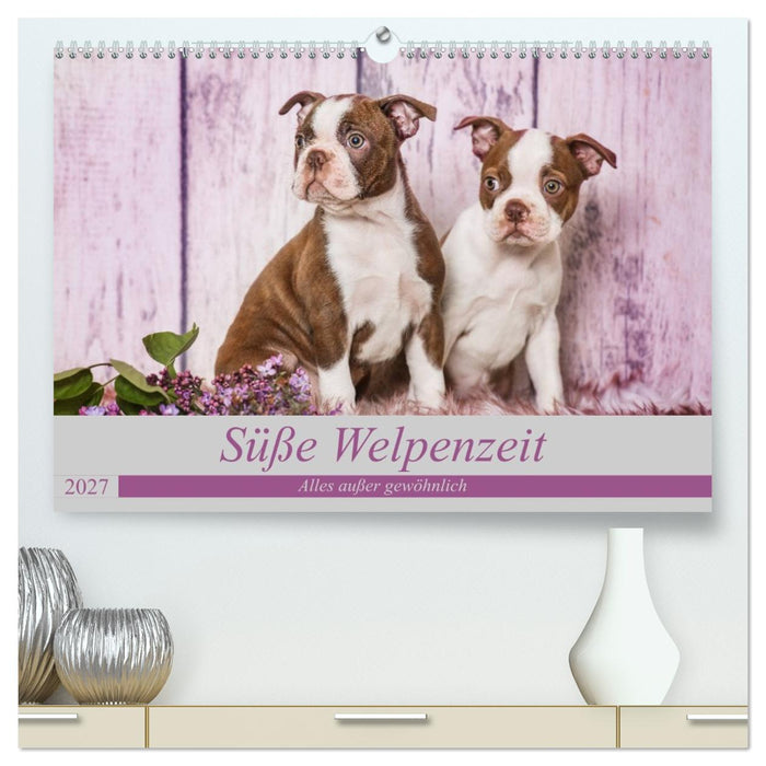 Süße Welpenzeit - Alles außer gewöhnlich (CALVENDO Premium Wandkalender 2027)