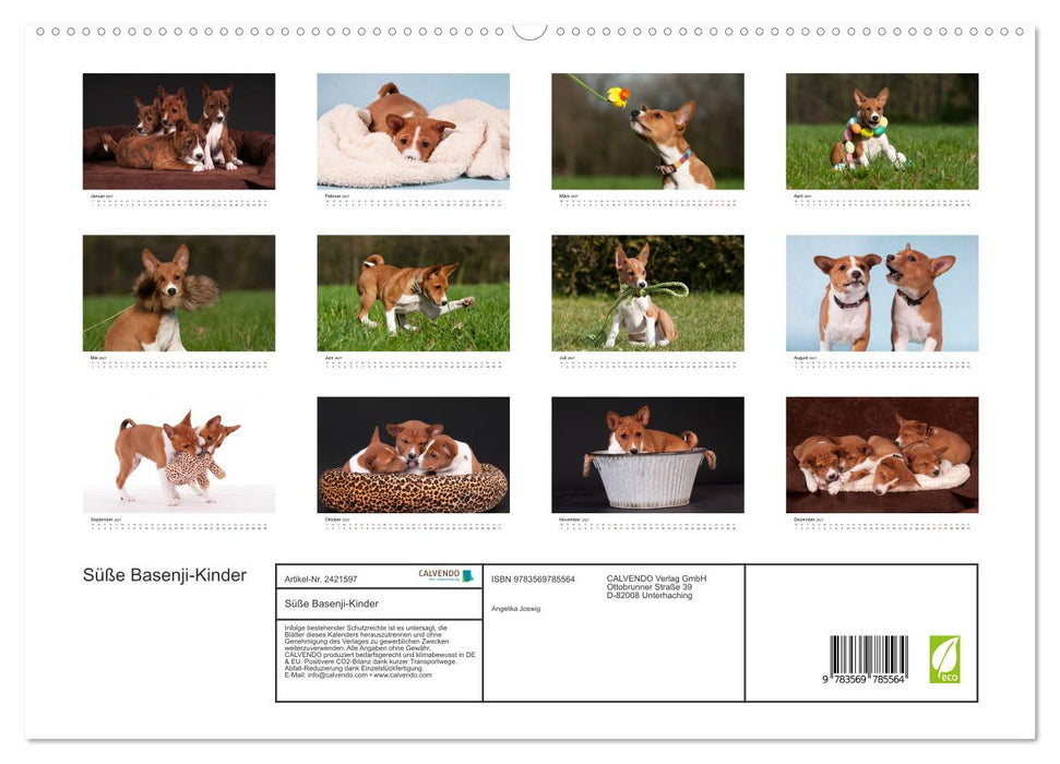 Süße Basenji-Kinder (CALVENDO Premium Wandkalender 2027)