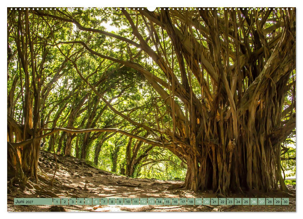 Big Island - Reise in eine unvergessliche Welt (CALVENDO Premium Wandkalender 2027)