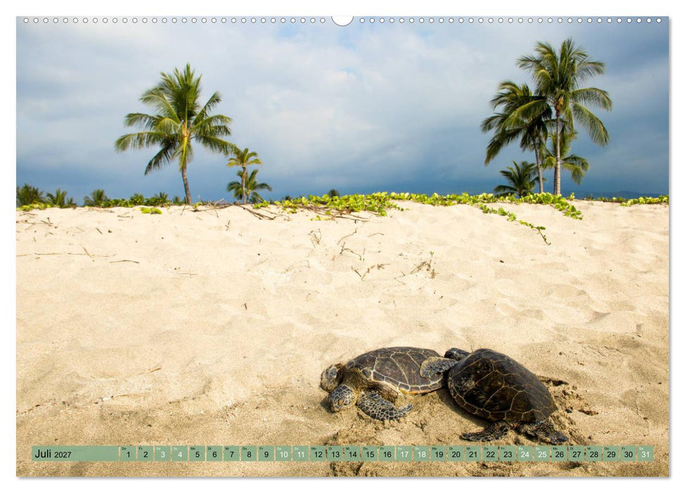 Big Island - Reise in eine unvergessliche Welt (CALVENDO Premium Wandkalender 2027)