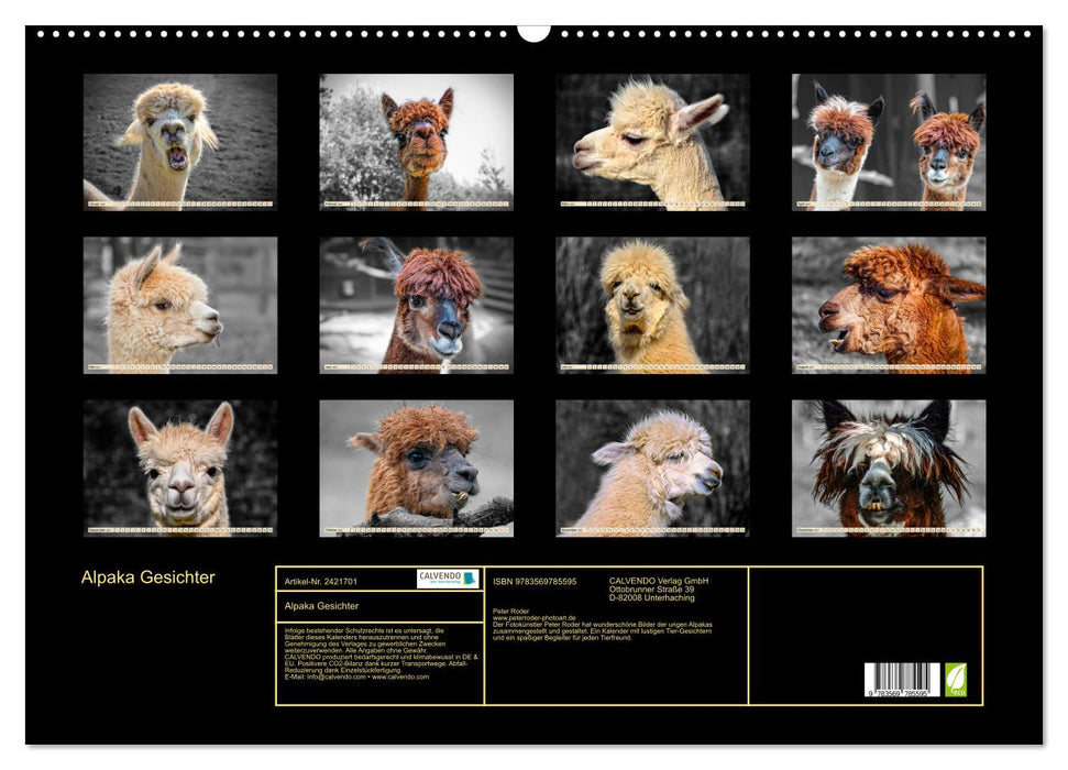Alpaka Gesichter (CALVENDO Wandkalender 2027)
