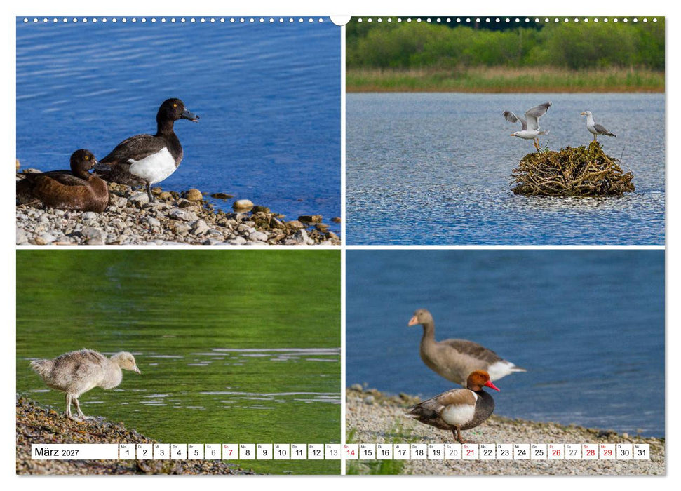 Chiemgau-Highlights (CALVENDO Wandkalender 2027)