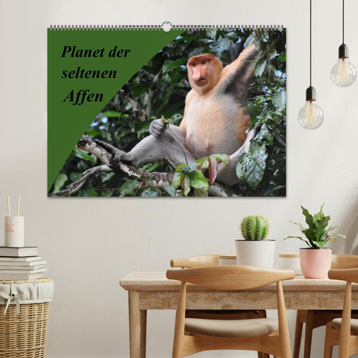 Planet der seltenen Affen (CALVENDO Wandkalender 2027)