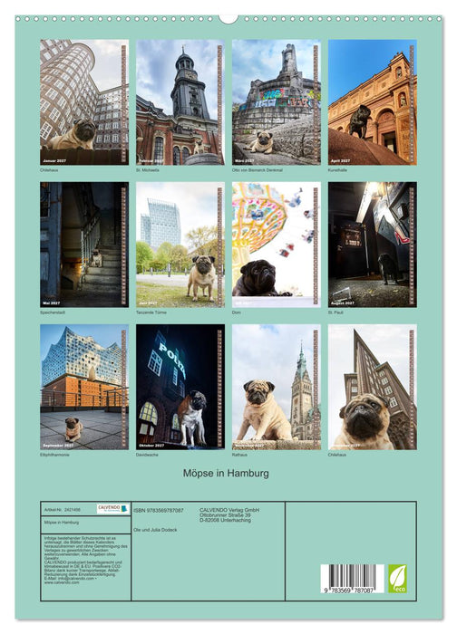 Möpse in Hamburg (CALVENDO Premium Wandkalender 2027)