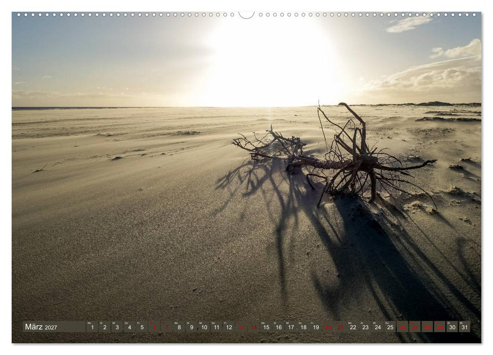 Einzigartiges Spiekeroog (CALVENDO Wandkalender 2027)