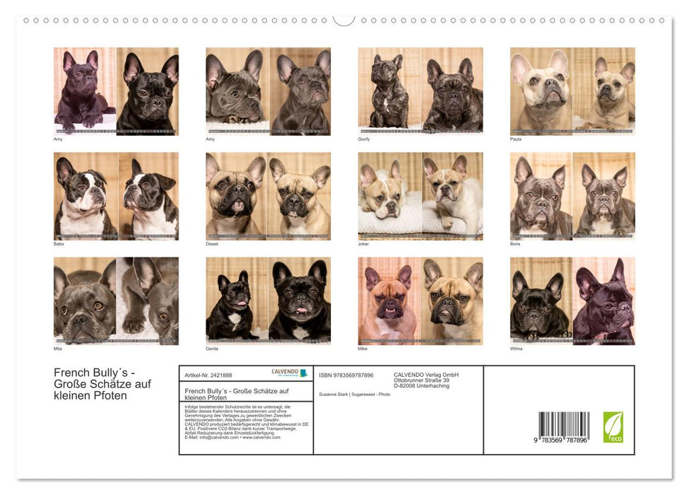 French Bully´s - Große Schätze auf kleinen Pfoten (CALVENDO Premium Wandkalender 2027)
