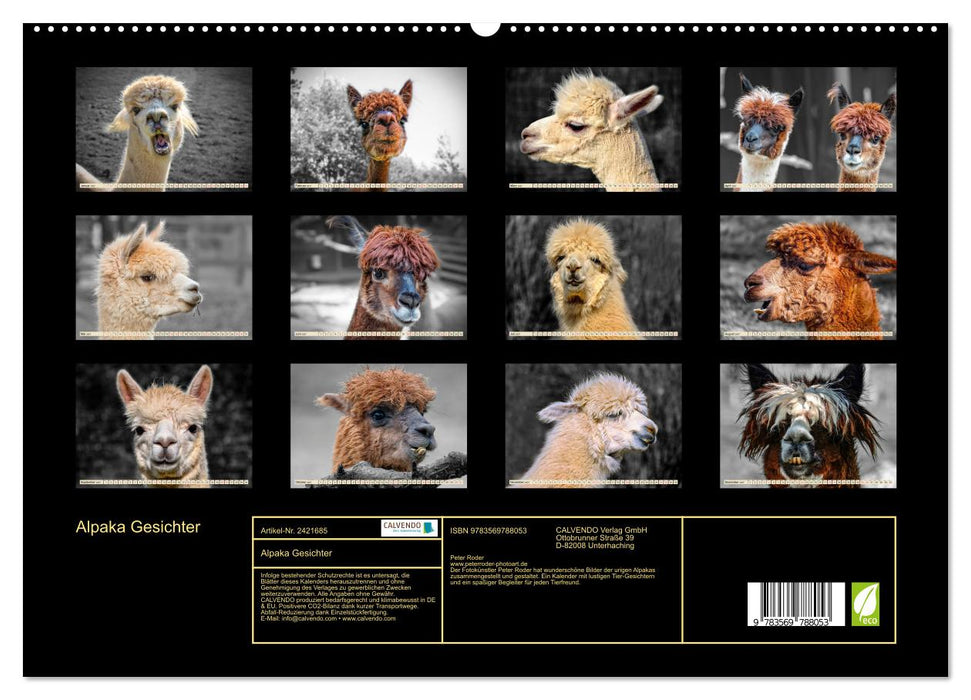 Alpaka Gesichter (CALVENDO Premium Wandkalender 2027)