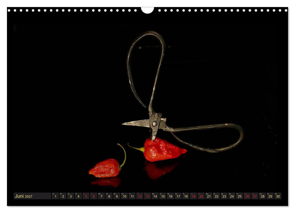 Scharfe Chili Fantasien - Creative Food Design (CALVENDO Wandkalender 2027)