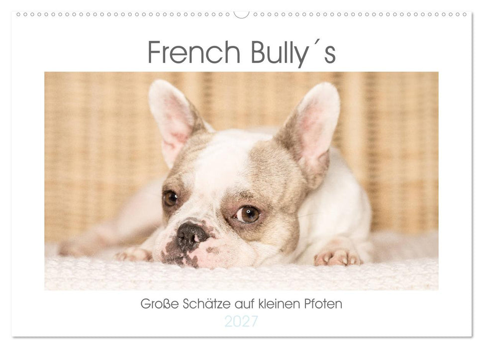 French Bully´s - Große Schätze auf kleinen Pfoten (CALVENDO Wandkalender 2027)
