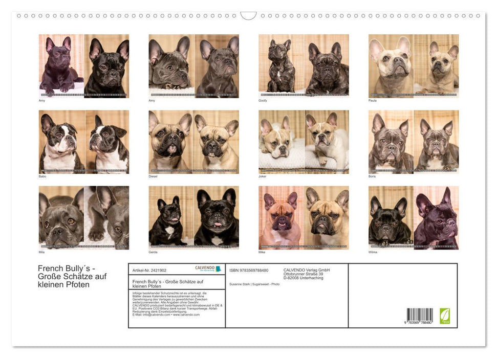 French Bully´s - Große Schätze auf kleinen Pfoten (CALVENDO Wandkalender 2027)