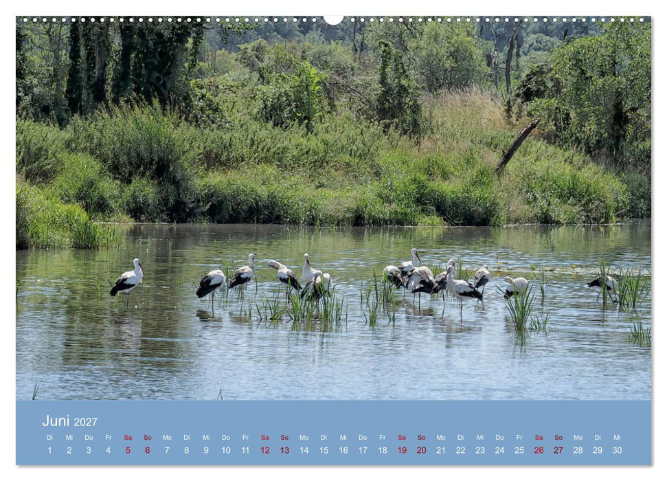 Das Jahr an der Naab zwischen Burglengenfeld und Kallmünz (CALVENDO Wandkalender 2027)