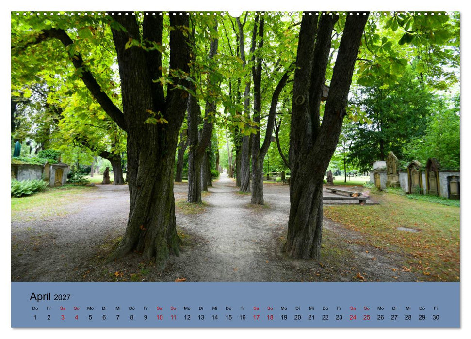Wundervolles Freiburg (CALVENDO Premium Wandkalender 2027)