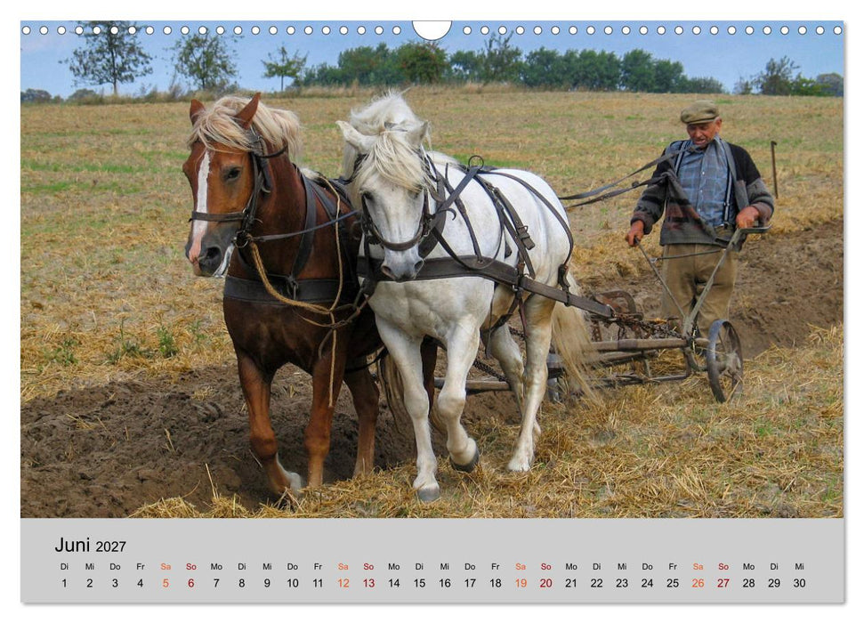 Joachimsthal am Rand der Schorfheide (CALVENDO Wandkalender 2027)