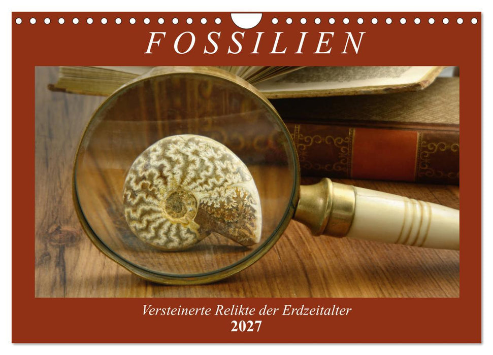 Fossilien - Versteinerte Relikte der Erdzeitalter (CALVENDO Wandkalender 2027)