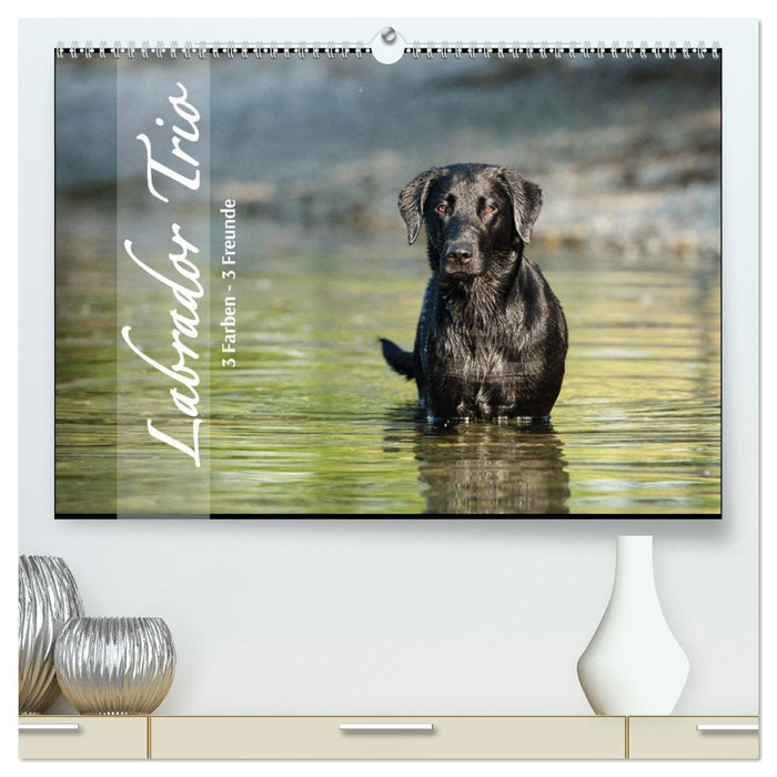 Labrador Trio - 3 Farben, 3 Freunde (CALVENDO Premium Wandkalender 2027)
