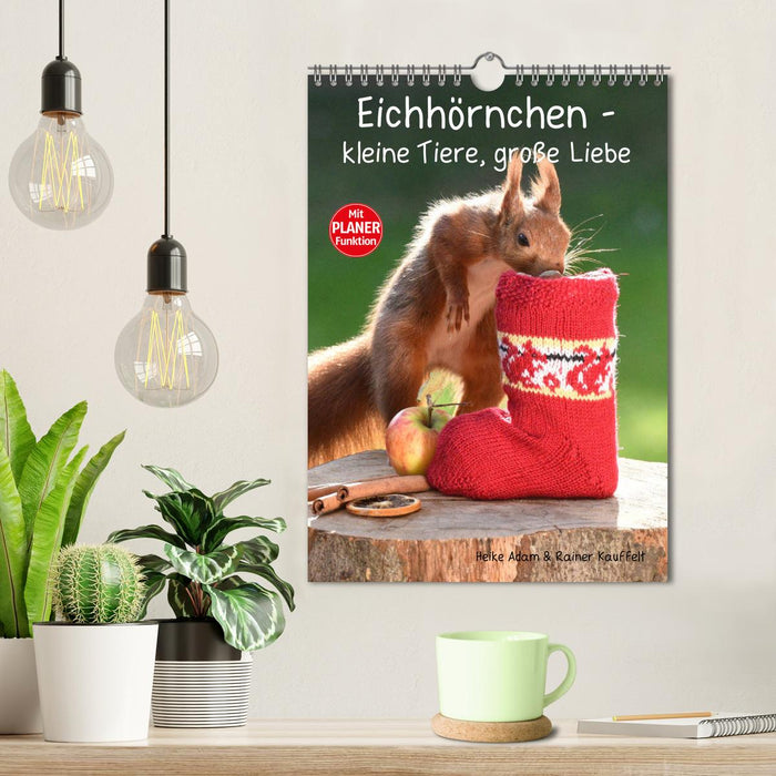 Eichhörnchen - kleine Tiere, große Liebe (CALVENDO Wandkalender 2027)
