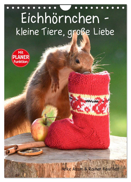 Eichhörnchen - kleine Tiere, große Liebe (CALVENDO Wandkalender 2027)