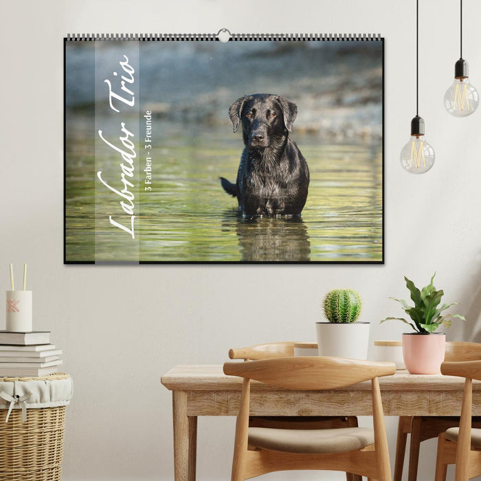 Labrador Trio - 3 Farben, 3 Freunde (CALVENDO Wandkalender 2027)