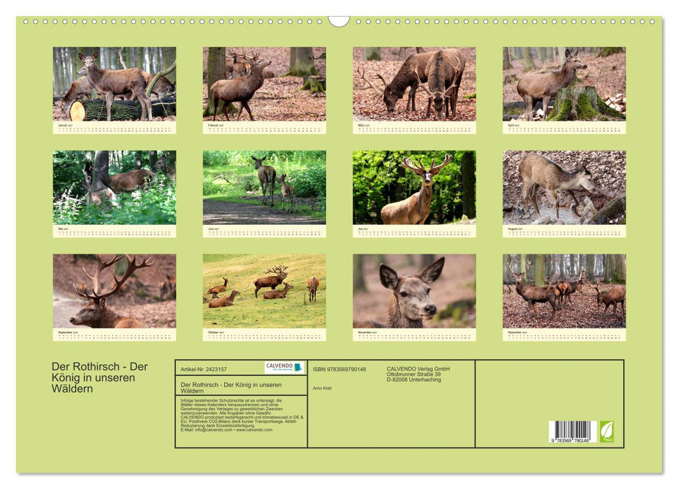Der Rothirsch - Der König in unseren Wäldern (CALVENDO Wandkalender 2027)