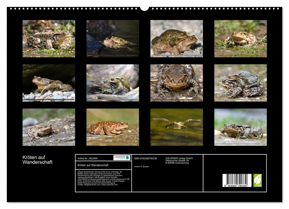 Kröten auf Wanderschaft (CALVENDO Premium Wandkalender 2027)