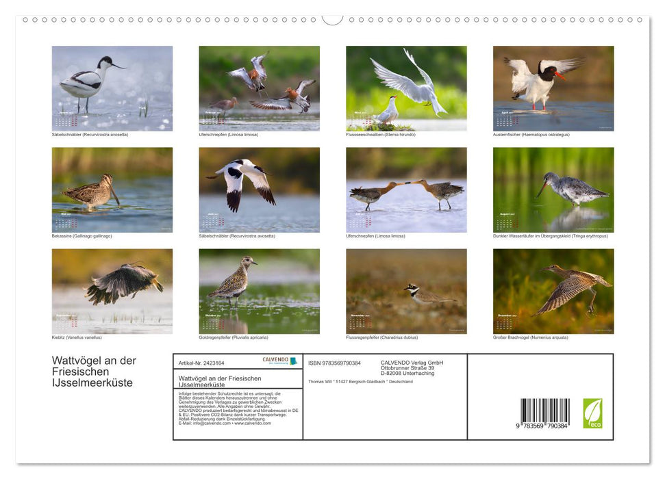 Wattvögel an der Friesischen IJsselmeerküste (CALVENDO Premium Wandkalender 2027)