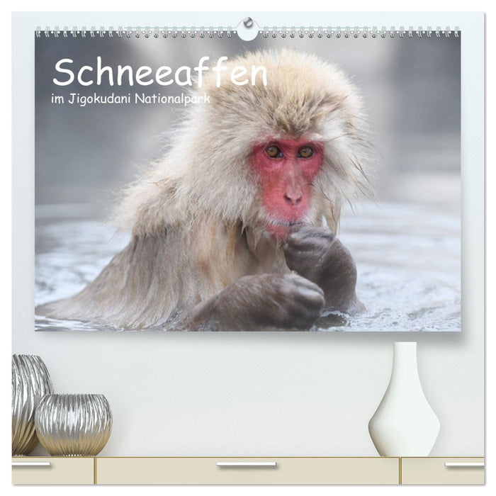 Schneeaffen im Jigokudani Nationalpark (CALVENDO Premium Wandkalender 2027)
