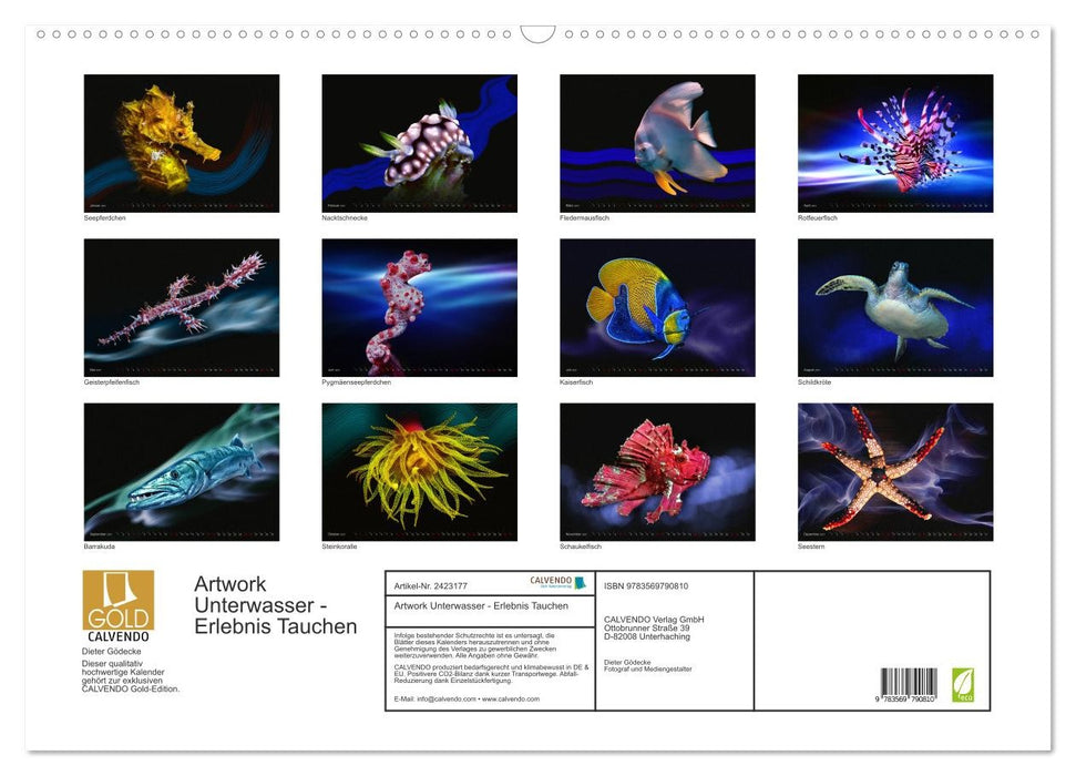 Artwork Unterwasser - Erlebnis Tauchen (CALVENDO Wandkalender 2027)