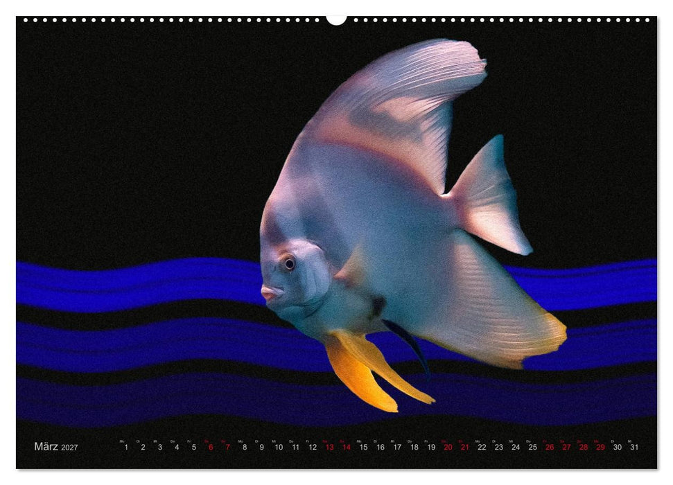 Artwork Unterwasser - Erlebnis Tauchen (CALVENDO Wandkalender 2027)