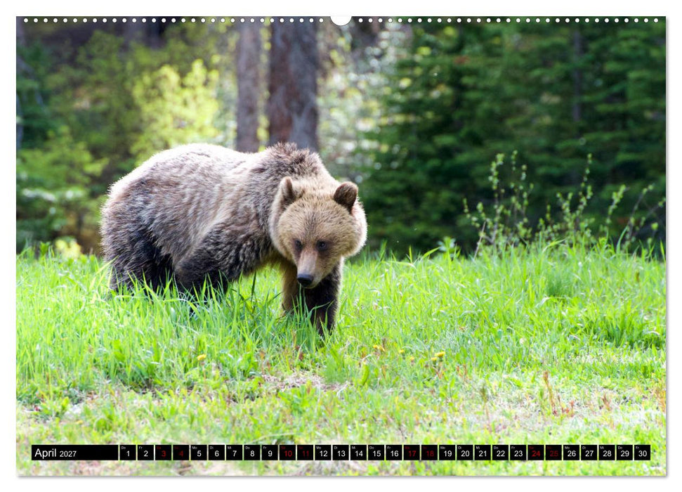 Kanada,wie wir es erlebt haben! (CALVENDO Wandkalender 2027)