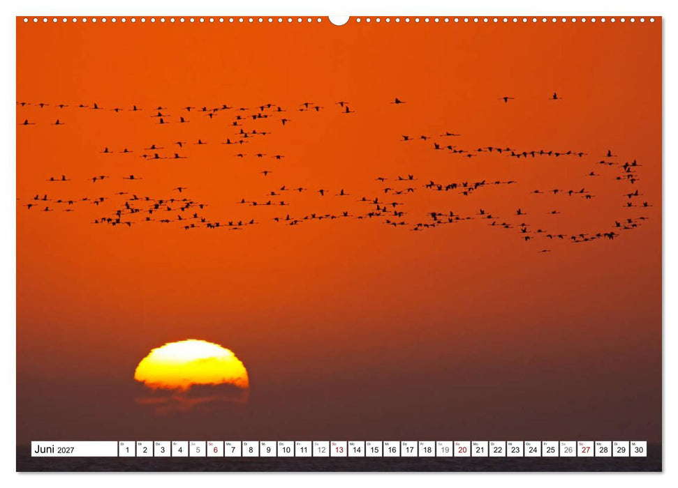 Namibia - Weite spüren (CALVENDO Wandkalender 2027)