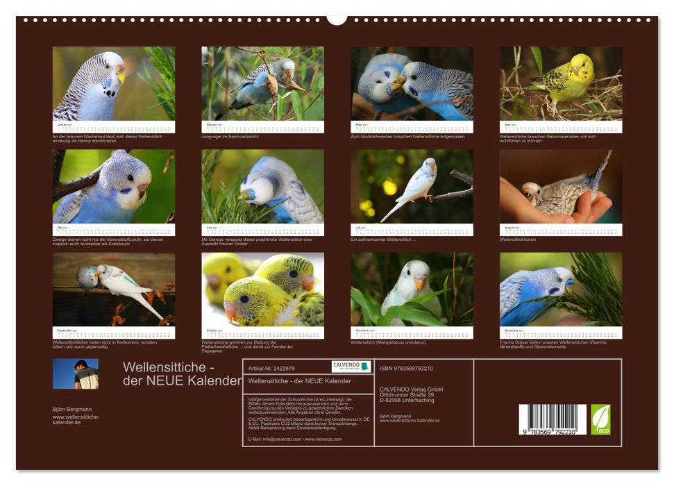 Wellensittiche - der NEUE Kalender (CALVENDO Premium Wandkalender 2027)
