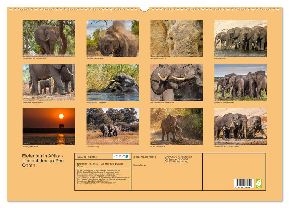 Elefanten in Afrika - Die mit den großen Ohren (CALVENDO Wandkalender 2027)