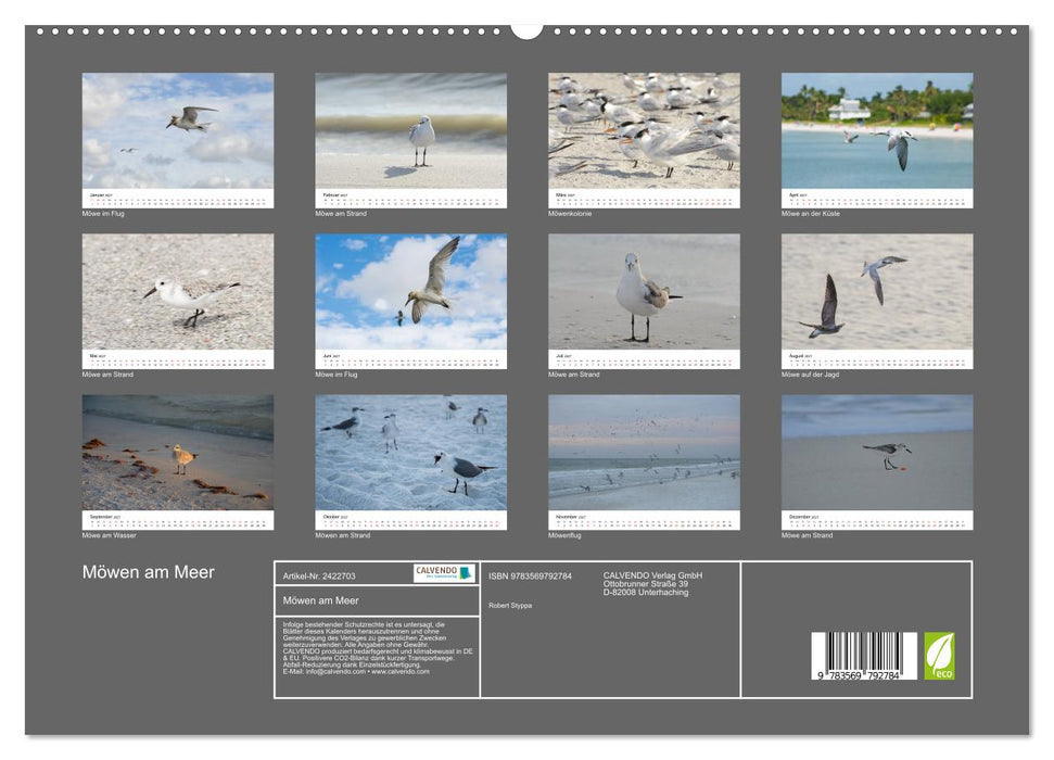 Möwen am Meer (CALVENDO Premium Wandkalender 2027)