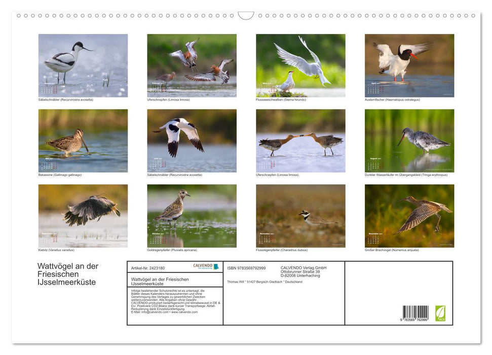 Wattvögel an der Friesischen IJsselmeerküste (CALVENDO Wandkalender 2027)