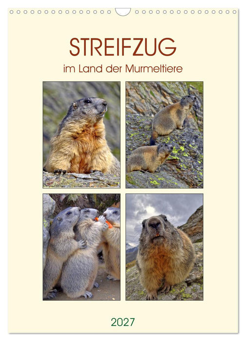 STREIFZUG im Land der Murmeltiere (CALVENDO Wandkalender 2027)
