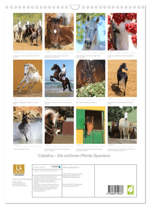 Caballos - Die schönen Pferde Spaniens (CALVENDO Wandkalender 2027)