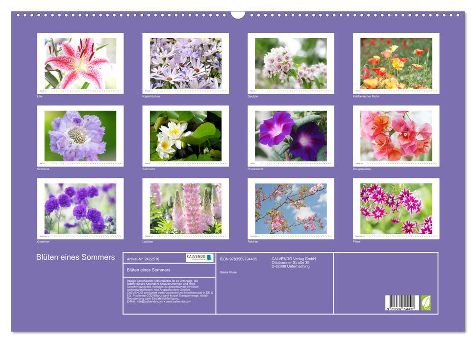 Blüten eines Sommers (CALVENDO Wandkalender 2027)