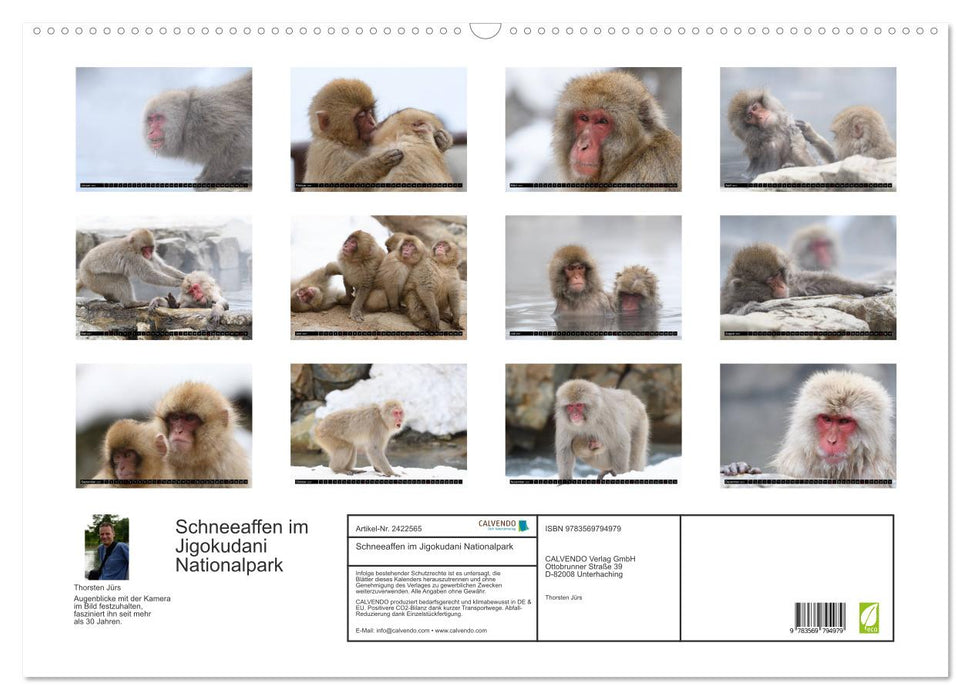 Schneeaffen im Jigokudani Nationalpark (CALVENDO Wandkalender 2027)