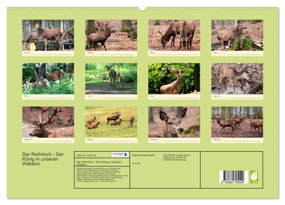 Der Rothirsch - Der König in unseren Wäldern (CALVENDO Premium Wandkalender 2027)