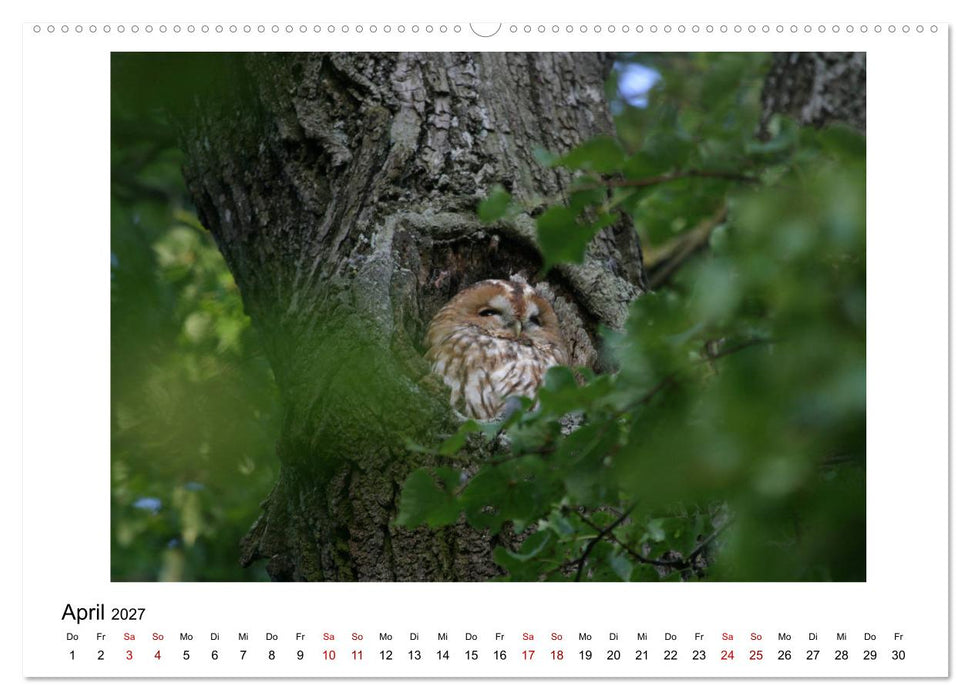 Nymphenburger Park (CALVENDO Premium Wandkalender 2027)