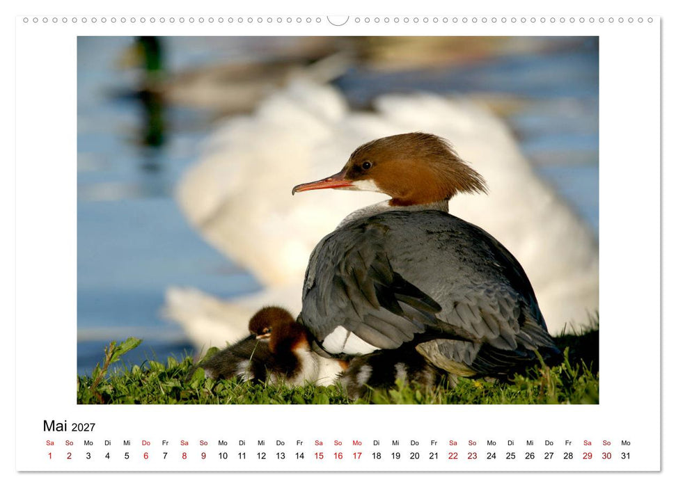 Nymphenburger Park (CALVENDO Premium Wandkalender 2027)